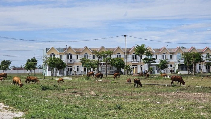 Đà Nẵng điều chỉnh đầu tư Khu đô thị Viêm Minh - Hà Dừa Đến năm 2027 - Ảnh 1. Đà Nẵng điều chỉnh đầu tư Khu đô thị Viêm Minh - Hà Dừa Đến năm 2027 - Ảnh 1.