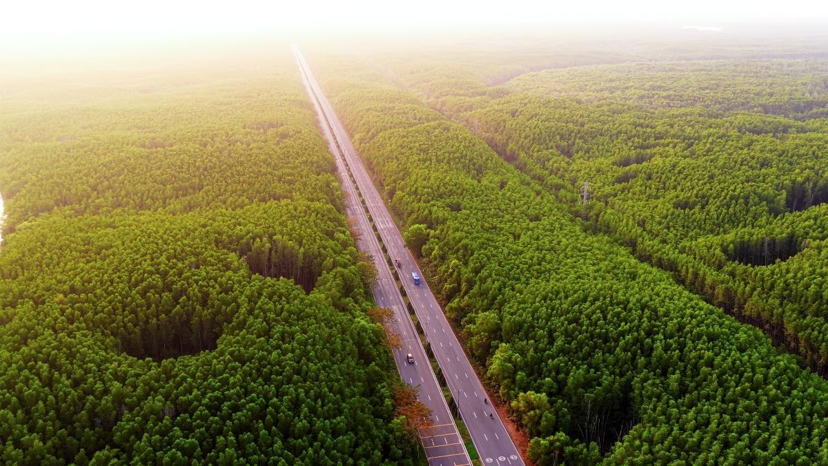 Cung đường chạy của VnExpress Marathon Green Paradise Cần Giờ trong lòng khu dự trữ sinh quyển thế giới được UNESCO công nhận.