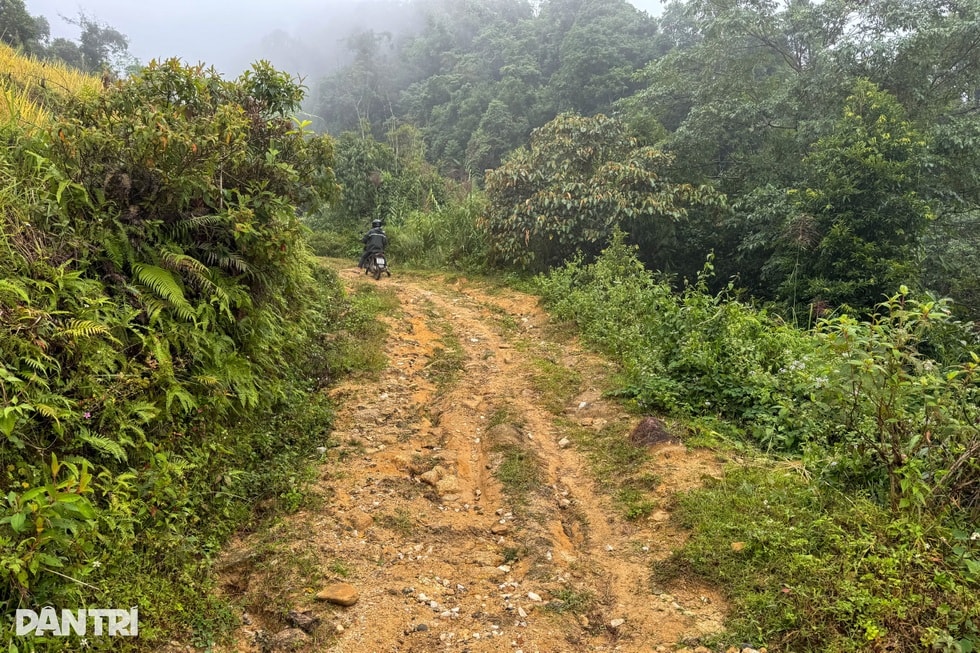 Tiếng thở dài trên đỉnh Tây Côn Lĩnh: Chồng tai biến, vợ điếc bẩm sinh - 1