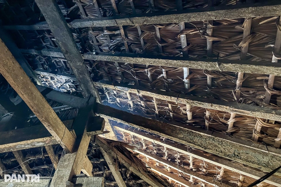 Tiếng thở dài trên đỉnh Tây Côn Lĩnh: Chồng tai biến, vợ điếc bẩm sinh - 4