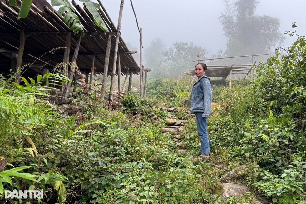 Tiếng thở dài trên đỉnh Tây Côn Lĩnh: Chồng tai biến, vợ điếc bẩm sinh - 9