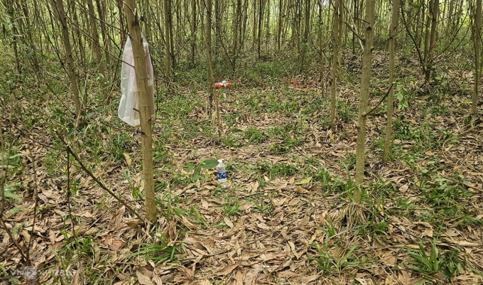 Khu vực Đạo cất dấu thi thể tài xế taxi sau khi sát hại. Ảnh: Đắc Thành