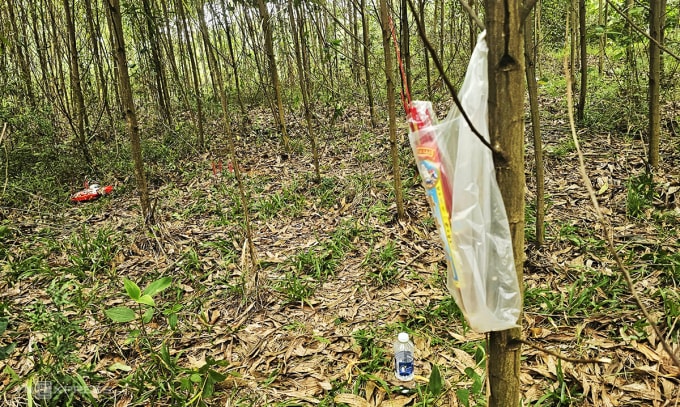 Khu vực phát hiện thi thể tài xế taxi. Ảnh: Đắc Thành