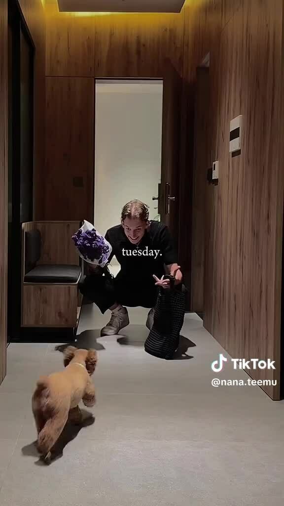 Chàng trai Phần Lan 'bay xuyên lục địa' chữa lành cho cô gái Việt