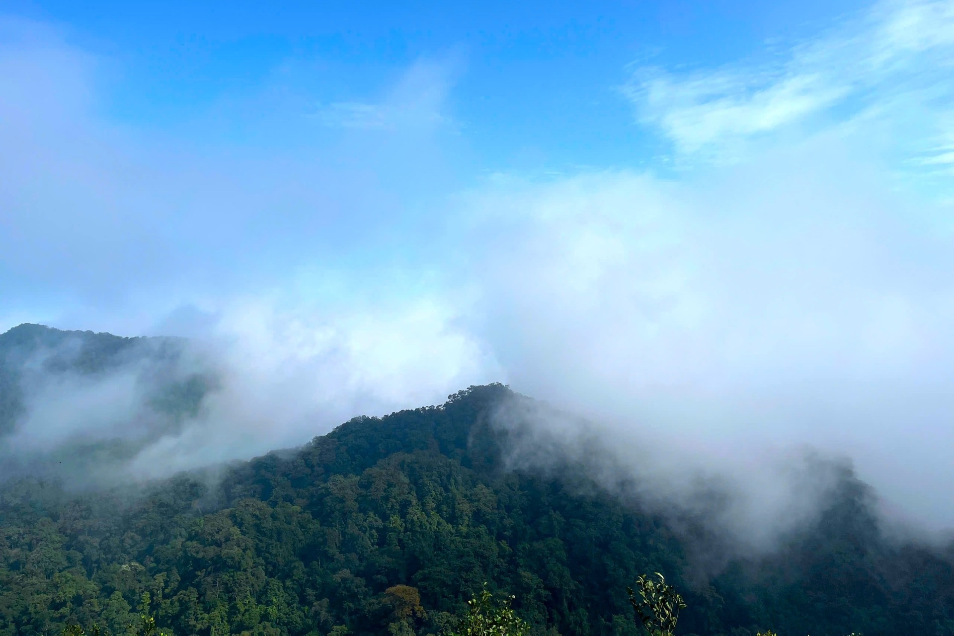 Xuyên rừng già Cúc Phương chinh phục nóc nhà Mây Bạc - 1