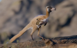 Sập bẫy tình “tổng tài AI", cụ bà U90 viết thư, đòi cưới, chi tiền thật cho tình ảo - Ảnh 4.