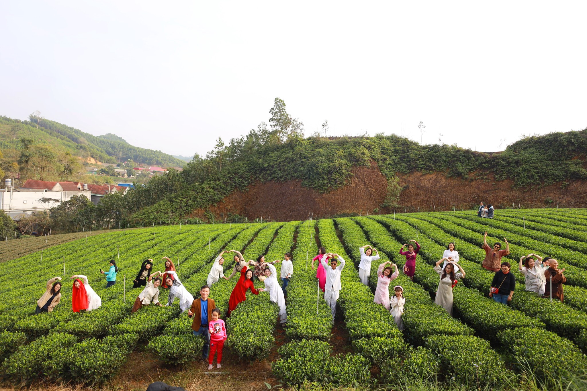 Về xóm trà Sương Mai sống chậm - Ảnh 1.