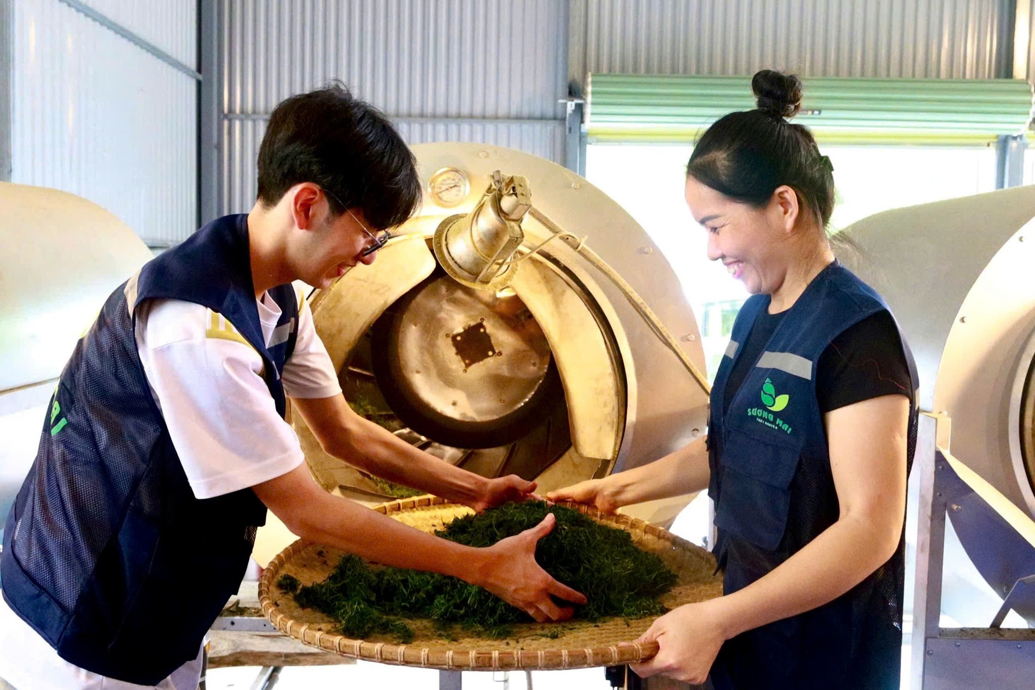 Về xóm trà Sương Mai sống chậm - Ảnh 3.