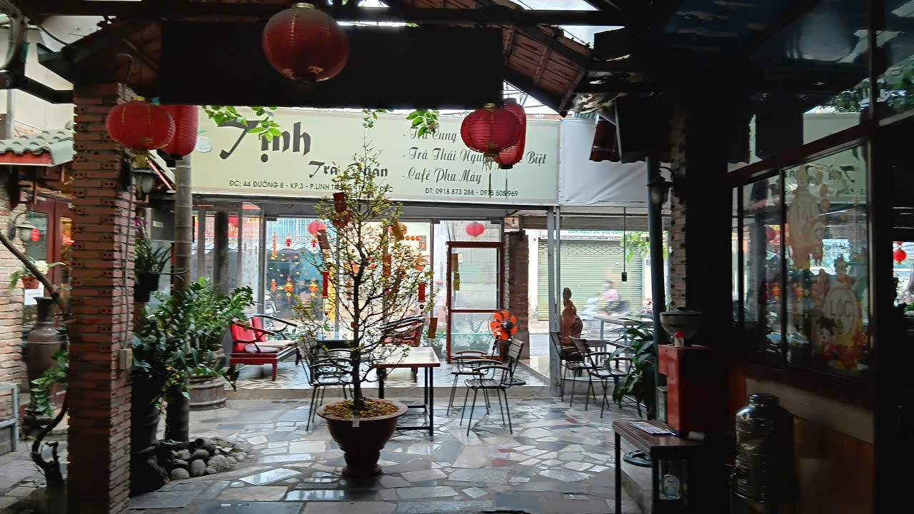 Trà Tịnh, trà cổ truyền Huế - Ảnh 1.