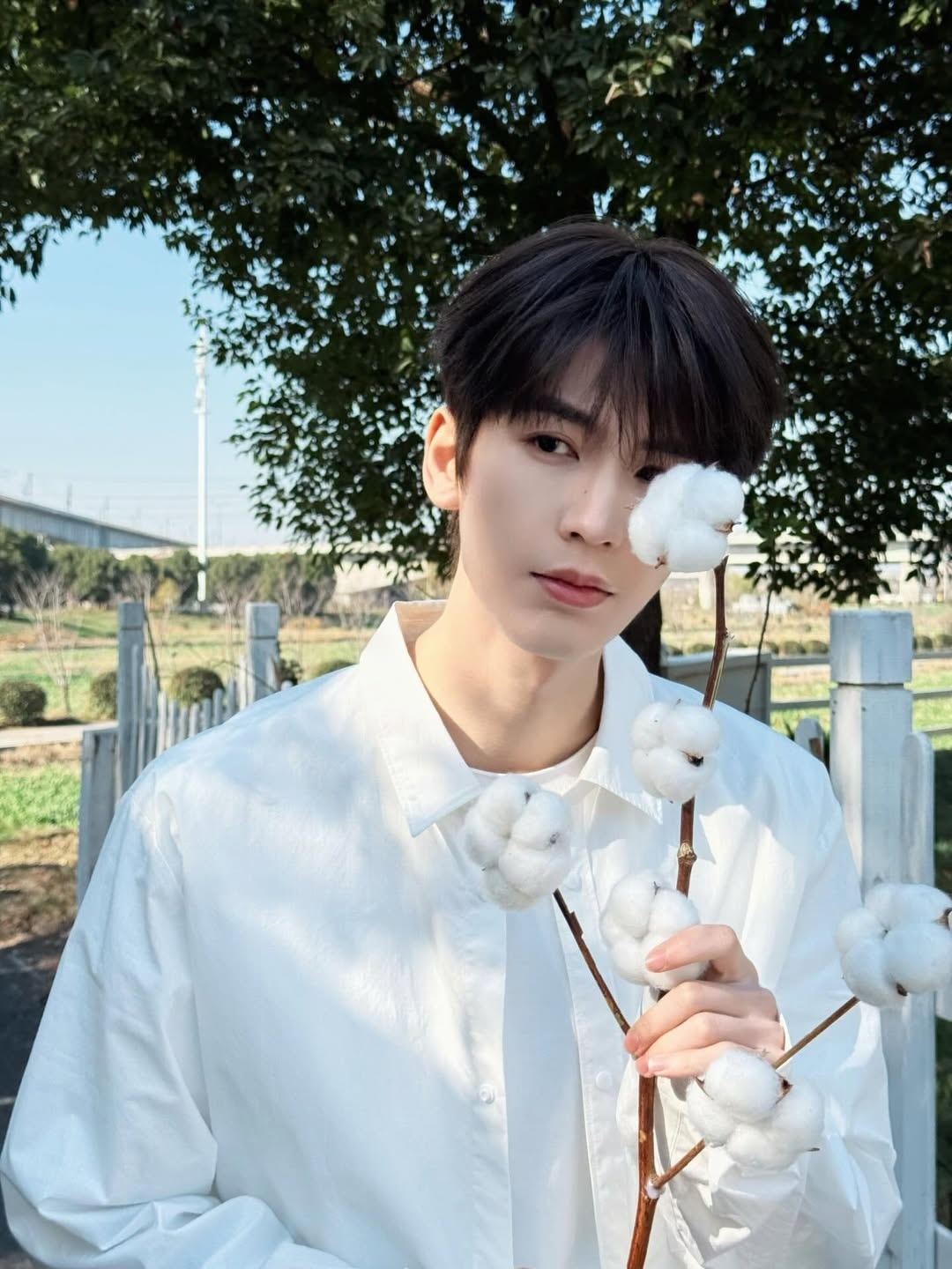 Trương Lăng Hách ảnh 4 Truong Lang Hach anh 4