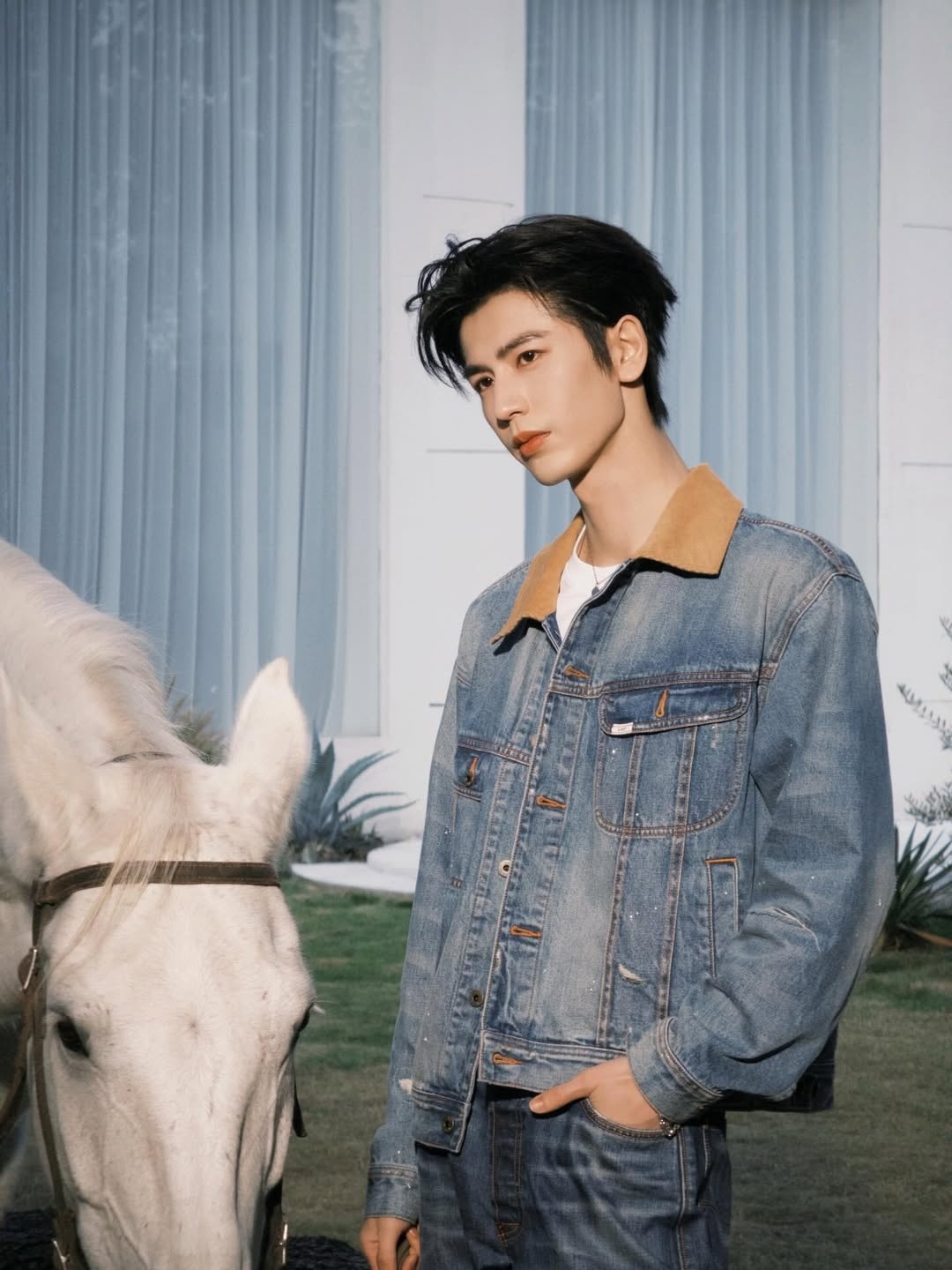 Trương Lăng Hách ảnh 10 Truong Lang Hach anh 10