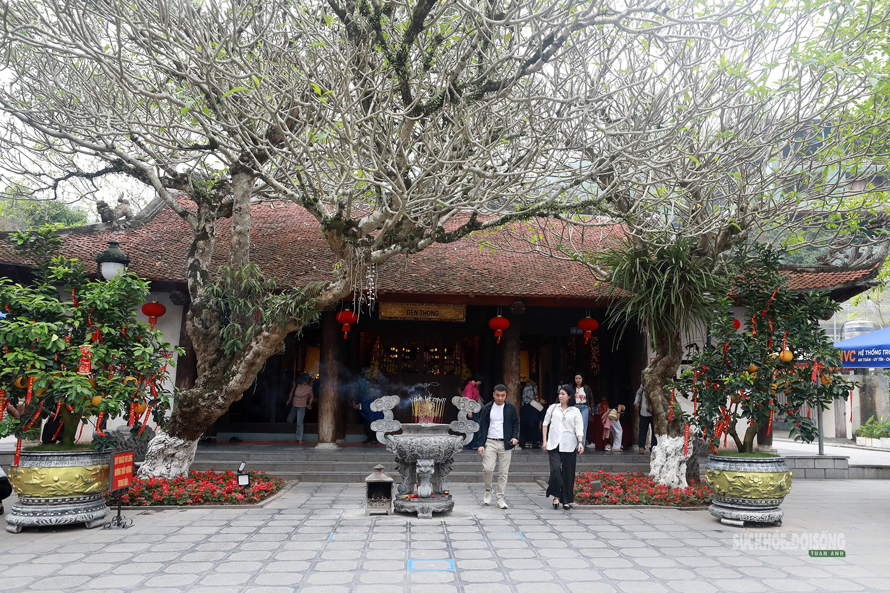 Về Tây Thiên, chạm vẻ đẹp thanh tịnh nơi cửa Phật- Ảnh 5. Về Tây Thiên, chạm vẻ đẹp thanh tịnh nơi cửa Phật- Ảnh 5.