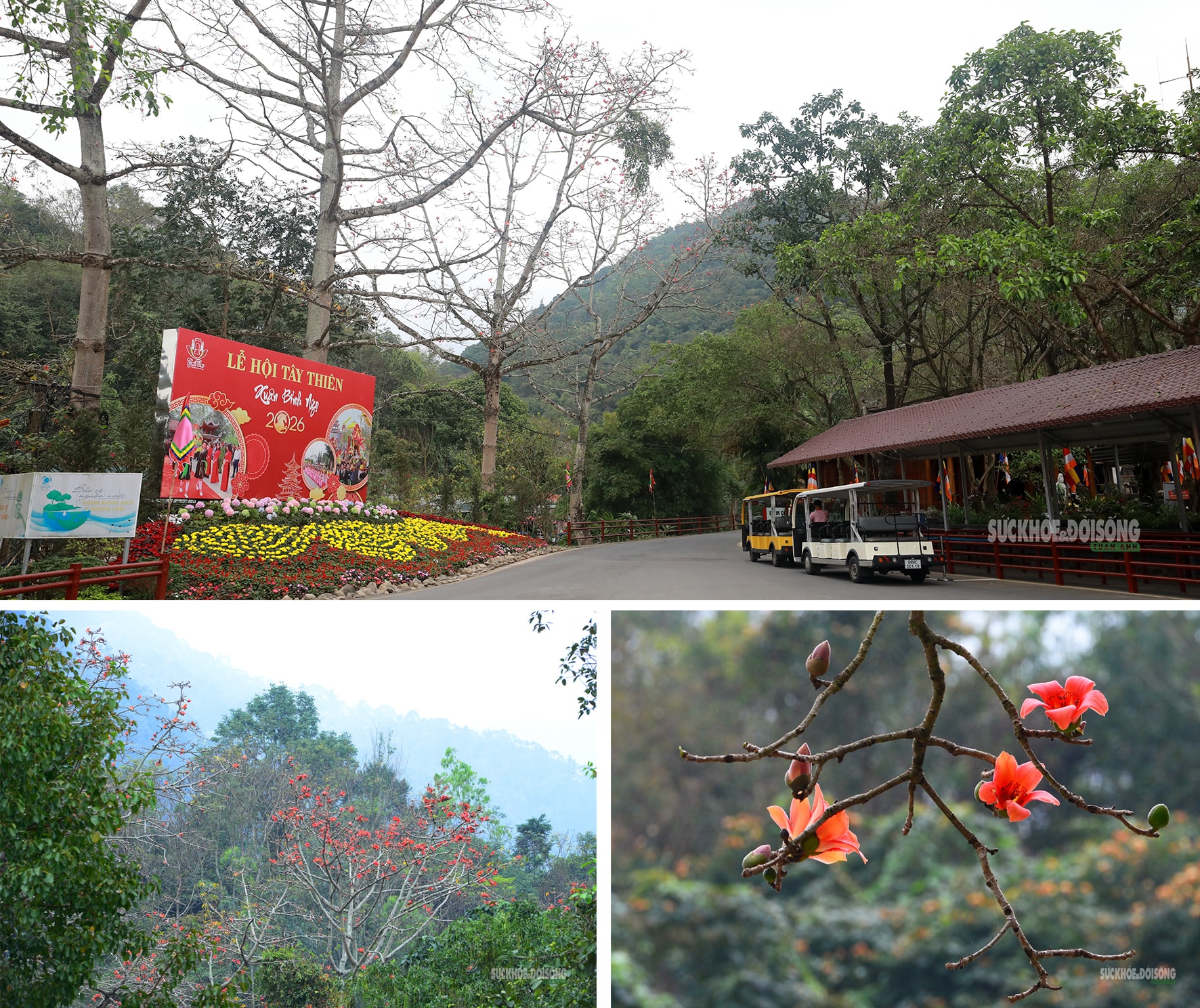 Về Tây Thiên, chạm vẻ đẹp thanh tịnh nơi cửa Phật- Ảnh 11. Về Tây Thiên, chạm vẻ đẹp thanh tịnh nơi cửa Phật- Ảnh 11.