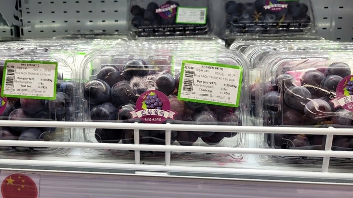 Việt Nam chi hàng trăm triệu USD nhập khẩu nho tươi Trung Quốc - Ảnh 2.