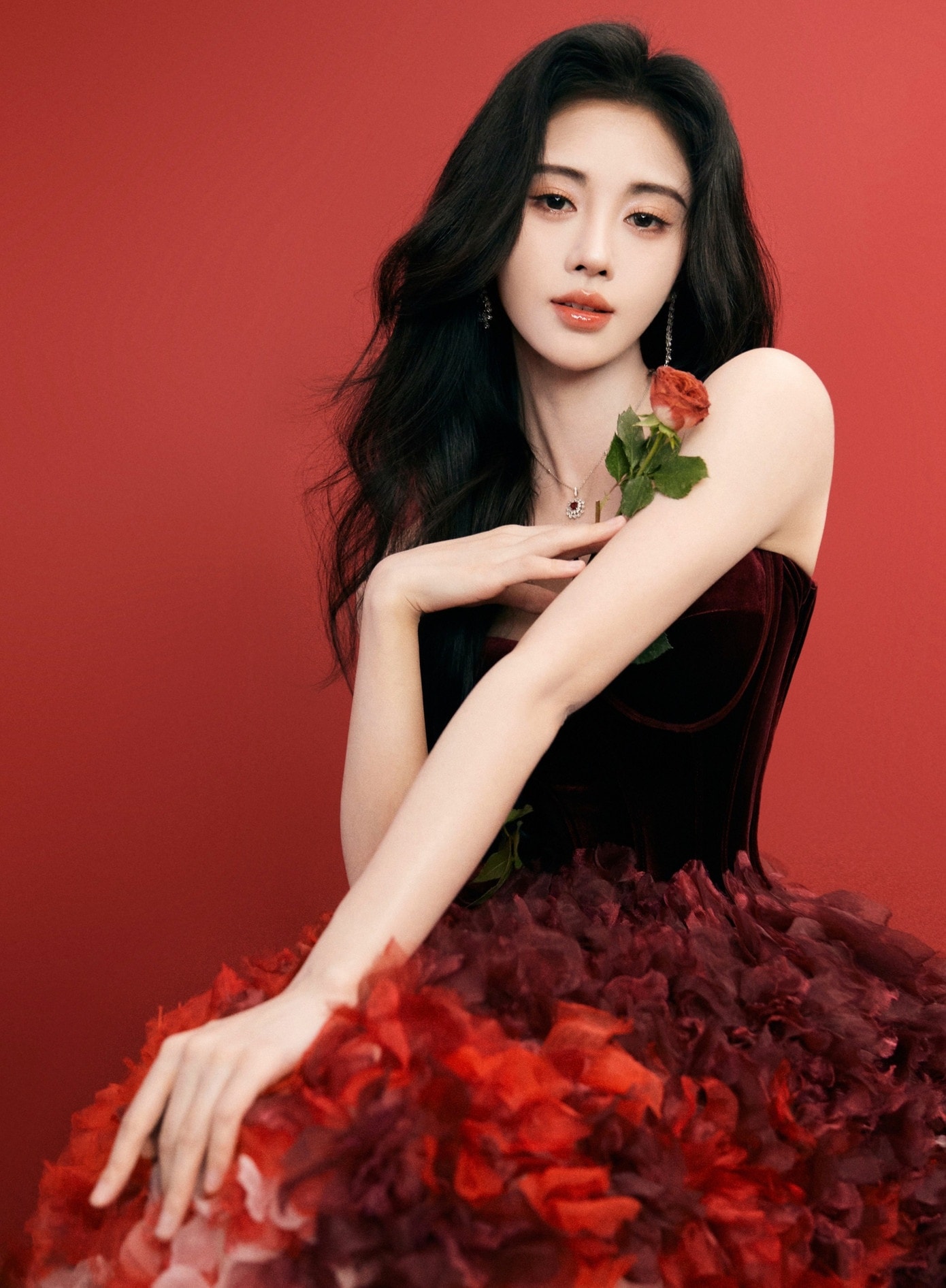 cúc tịnh y ảnh 3 cuc tinh y anh 3