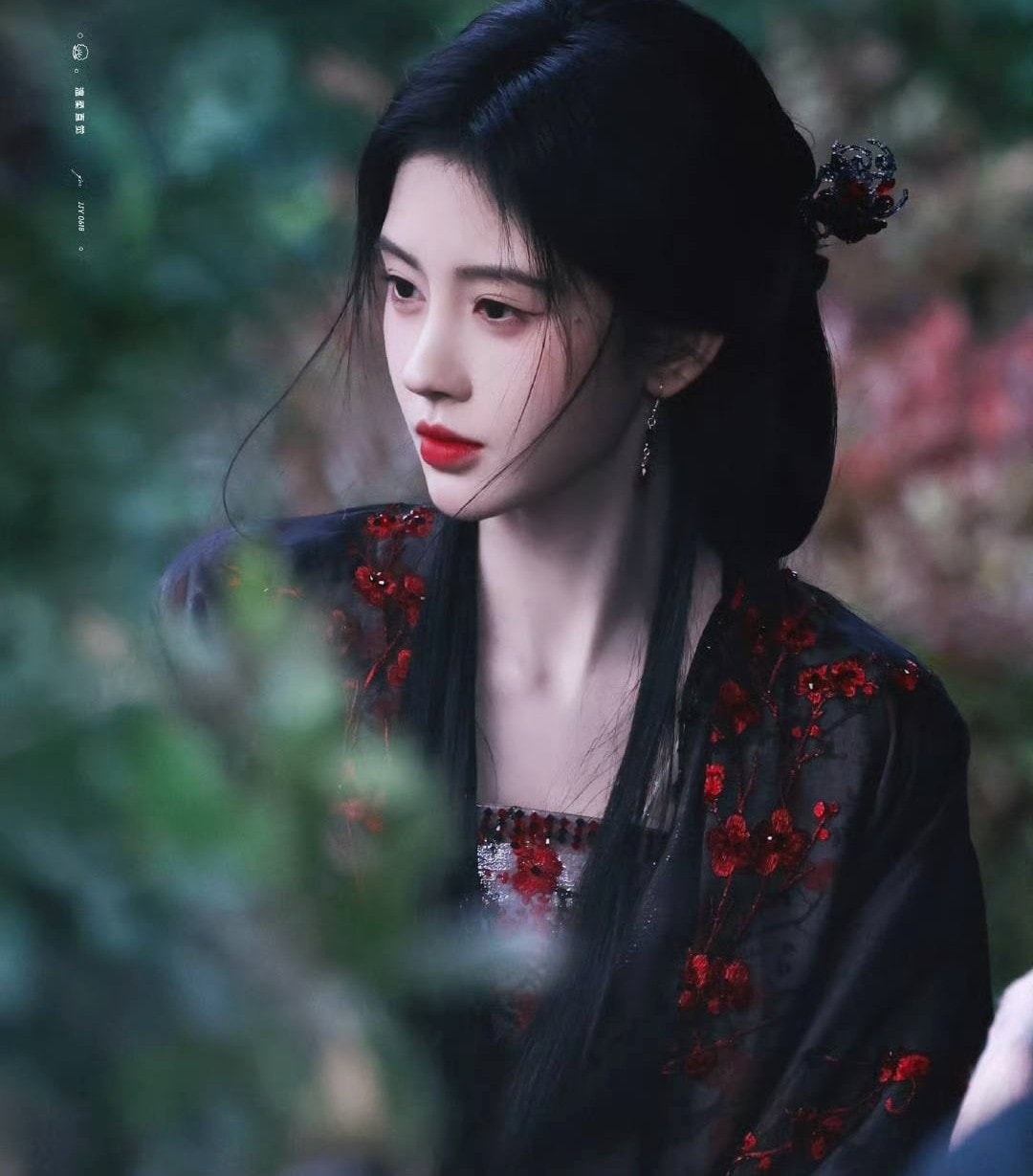 cúc tịnh y ảnh 1 cuc tinh y anh 1