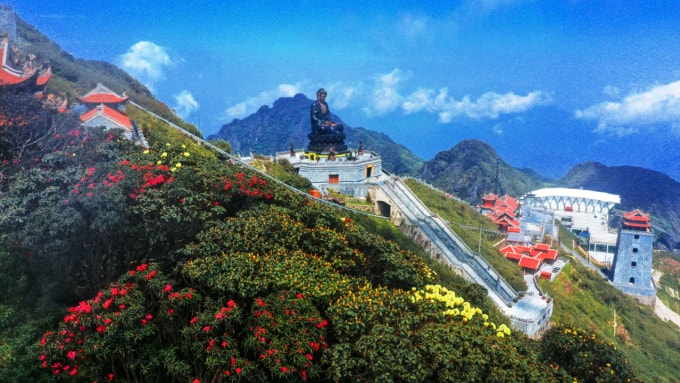 Con đường đỗ quyên ở độ cao hơn 3.000 m. Ảnh: Sungroup