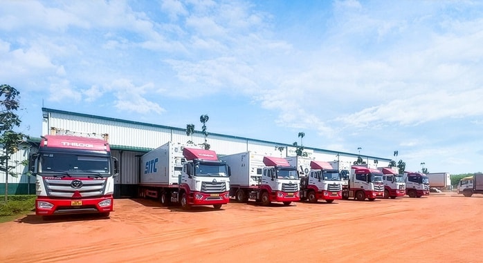 THILOGI tối ưu giải pháp chuỗi lạnh cho trái cây tươi xuất khẩu - Ảnh 3.