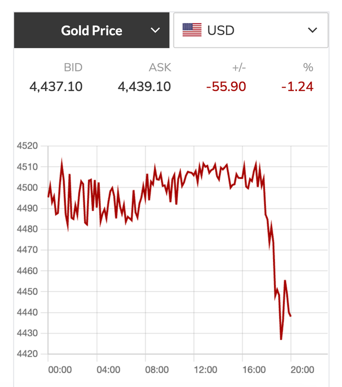 Giá vàng hôm nay 30-3: Vàng, bạc rớt mạnh khi vừa mở cửa, dầu thô tăng trở lại - Ảnh 1.