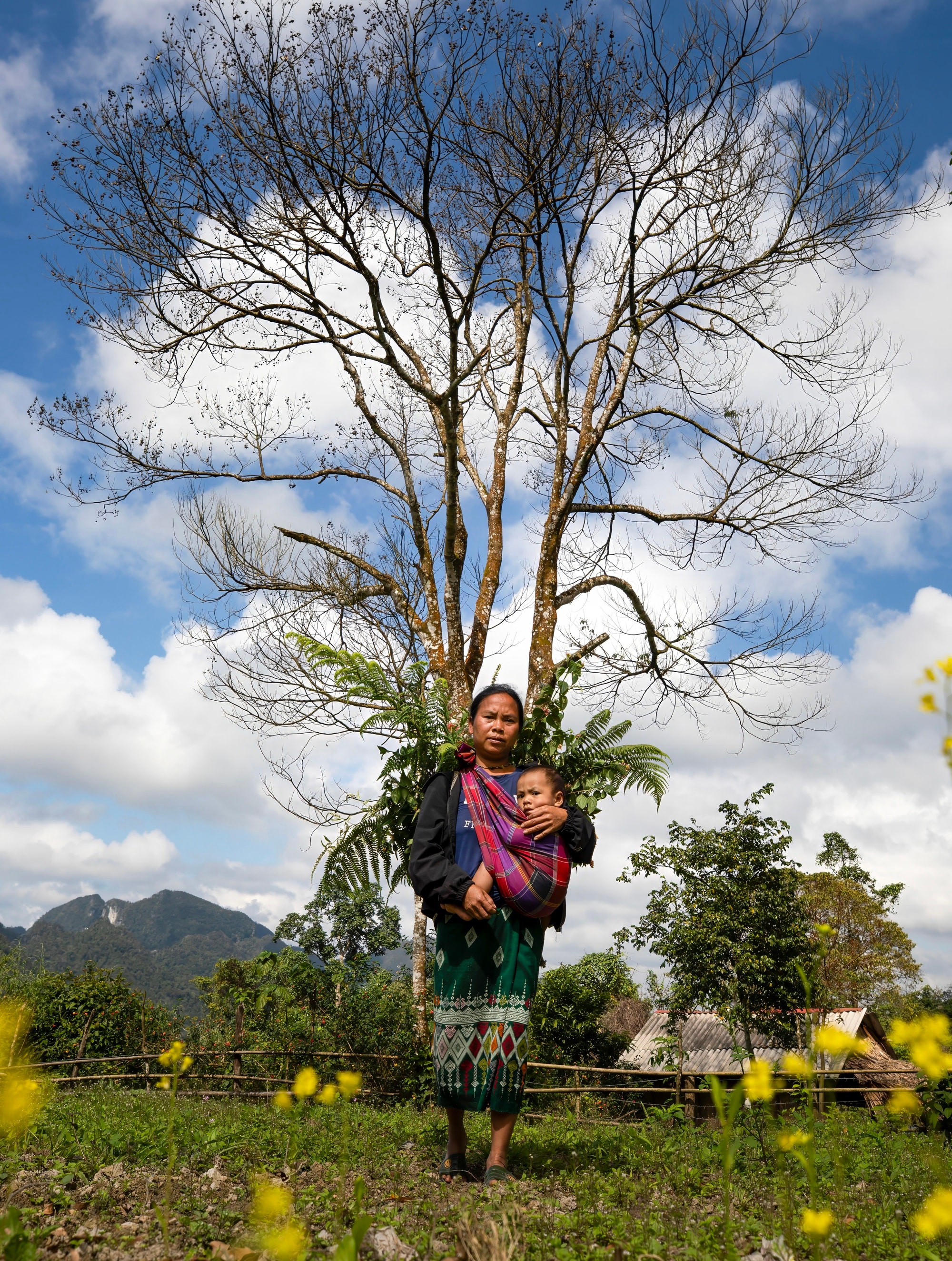 Bí ẩn hang động lưu dấu tích tộc người Arem và rừng cổ quý hiếm- Ảnh 5. Bí ẩn hang động lưu dấu tích tộc người Arem và rừng cổ quý hiếm- Ảnh 5.