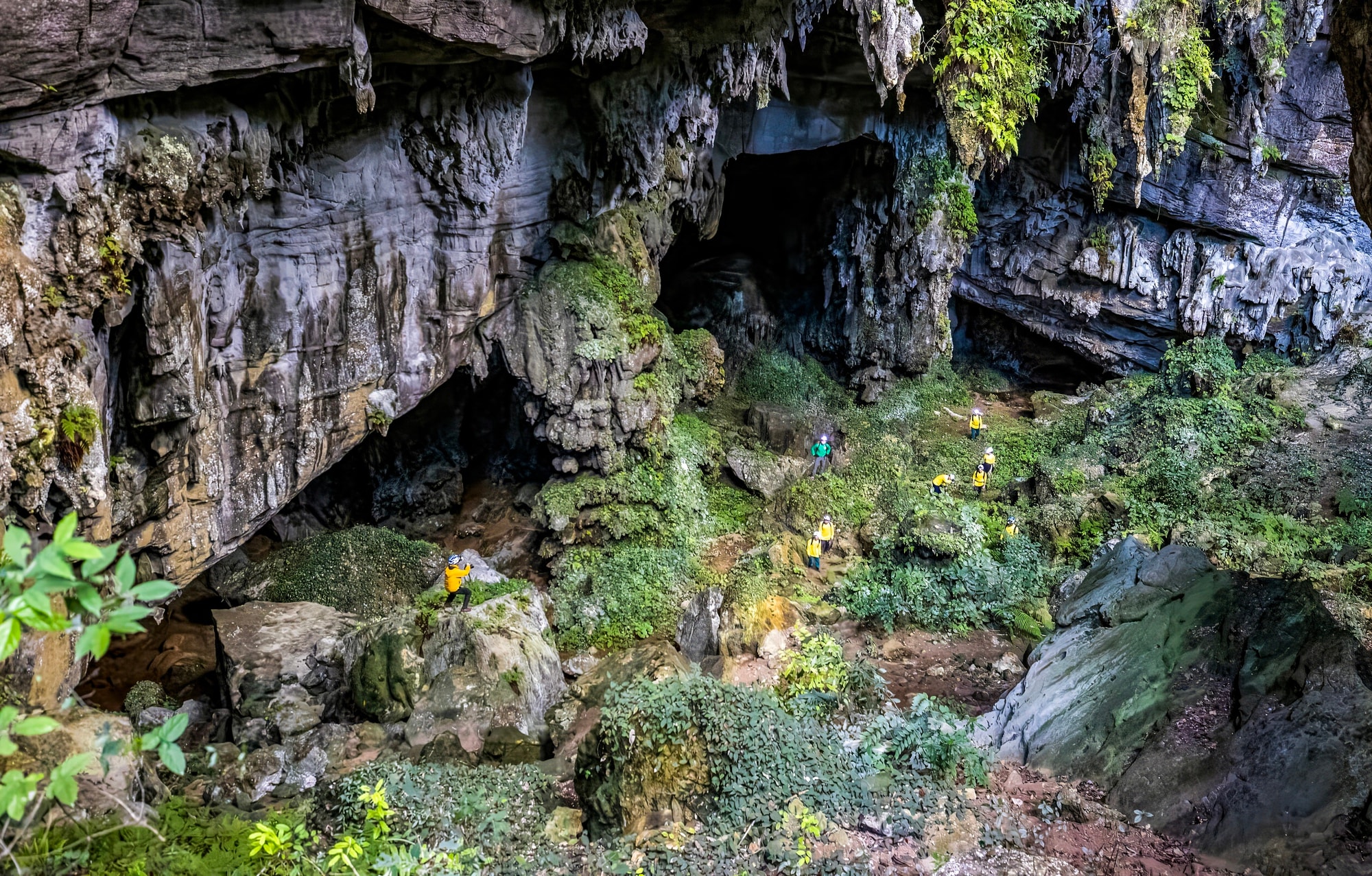 Bí ẩn hang động lưu dấu tích tộc người Arem và rừng cổ quý hiếm- Ảnh 3. Bí ẩn hang động lưu dấu tích tộc người Arem và rừng cổ quý hiếm- Ảnh 3.