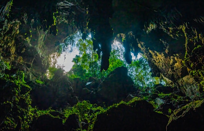 Bí ẩn hang động lưu dấu tích tộc người Arem và rừng cổ quý hiếm- Ảnh 14. Bí ẩn hang động lưu dấu tích tộc người Arem và rừng cổ quý hiếm- Ảnh 14.
