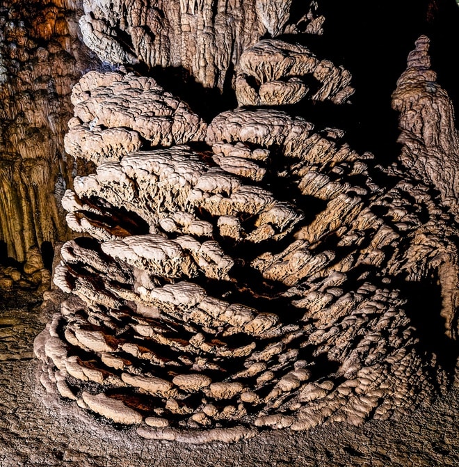 Bí ẩn hang động lưu dấu tích tộc người Arem và rừng cổ quý hiếm- Ảnh 16. Bí ẩn hang động lưu dấu tích tộc người Arem và rừng cổ quý hiếm- Ảnh 16.