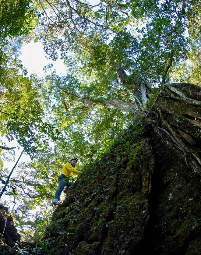 Bí ẩn hang động lưu dấu tích tộc người Arem và rừng cổ quý hiếm- Ảnh 7. Bí ẩn hang động lưu dấu tích tộc người Arem và rừng cổ quý hiếm- Ảnh 7.