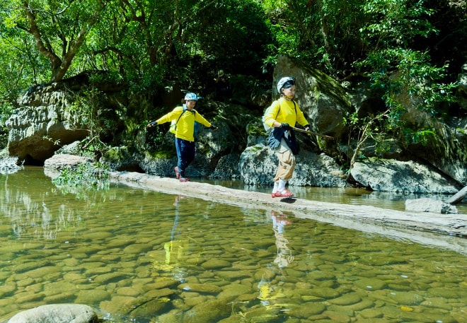 Bí ẩn hang động lưu dấu tích tộc người Arem và rừng cổ quý hiếm- Ảnh 6. Bí ẩn hang động lưu dấu tích tộc người Arem và rừng cổ quý hiếm- Ảnh 6.