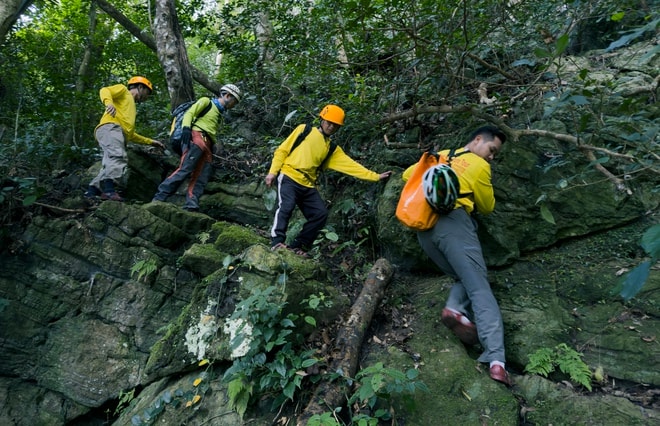 Bí ẩn hang động lưu dấu tích tộc người Arem và rừng cổ quý hiếm- Ảnh 8. Bí ẩn hang động lưu dấu tích tộc người Arem và rừng cổ quý hiếm- Ảnh 8.