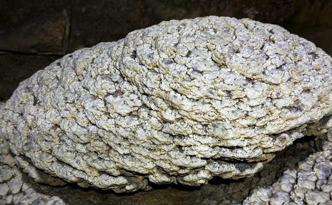 Bí ẩn hang động lưu dấu tích tộc người Arem và rừng cổ quý hiếm- Ảnh 19. Bí ẩn hang động lưu dấu tích tộc người Arem và rừng cổ quý hiếm- Ảnh 19.