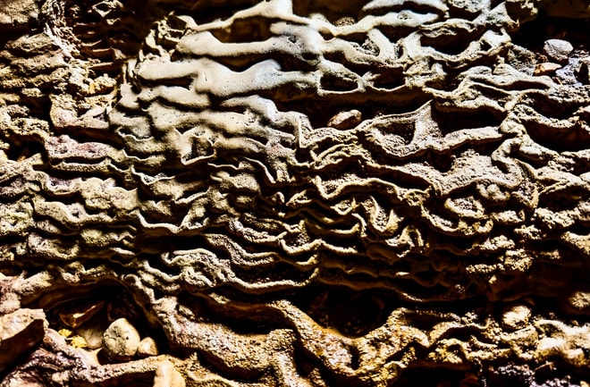 Bí ẩn hang động lưu dấu tích tộc người Arem và rừng cổ quý hiếm- Ảnh 18. Bí ẩn hang động lưu dấu tích tộc người Arem và rừng cổ quý hiếm- Ảnh 18.