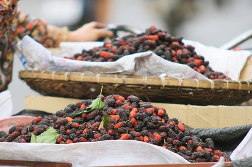 Loại quả siêu dinh dưỡng, bổ ngang nhân sâm giá lại cực rẻ đang vào mùa - Ảnh 3.