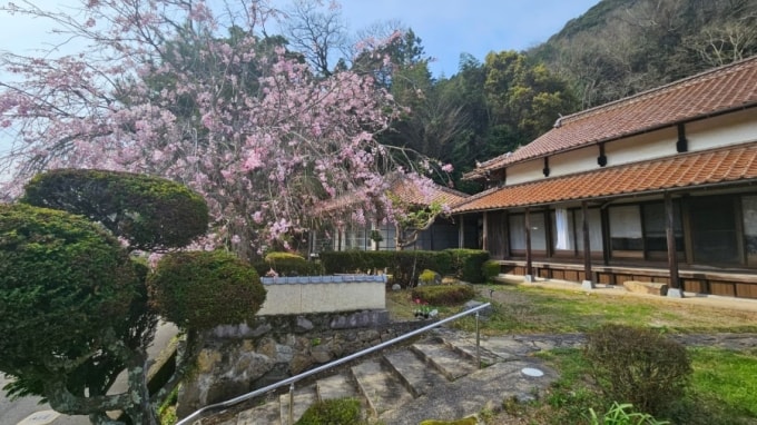 Ngôi nhà Akiya 150 năm tuổi của Deborah và Jason Brawn trước đây từng là một xưởng sản xuất rượu sake. Ảnh: Deborah Brawn