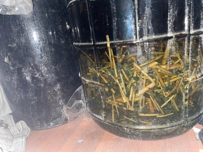 Nhiều người cho rằng rượu ngâm là bổ, uống là tốt cho sức khỏe nên lạm dụng. Ảnh: Ngọc Thi