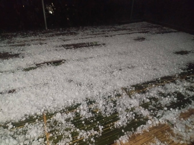 Mưa đá hạt dày ở xã Nam Khánh, Cao Bằng. Ảnh: Cao Bằng