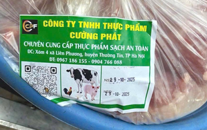 Nguy cơ từ thịt heo bệnh, Bộ Y tế kiểm tra đột xuất bếp ăn tập thể - Ảnh 3.