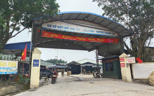 Vụ 300 tấn thịt lợn bệnh tuồn vào trường học, Bộ Y tế chỉ đạo nóng- Ảnh 3.