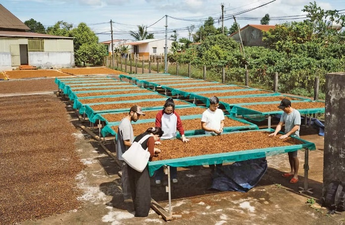 CÚ HÍCH NĂM DU LỊCH QUỐC GIA: Định hình bản sắc du lịch liên vùng - Ảnh 1. CÚ HÍCH NĂM DU LỊCH QUỐC GIA: Định hình bản sắc du lịch liên vùng - Ảnh 1.