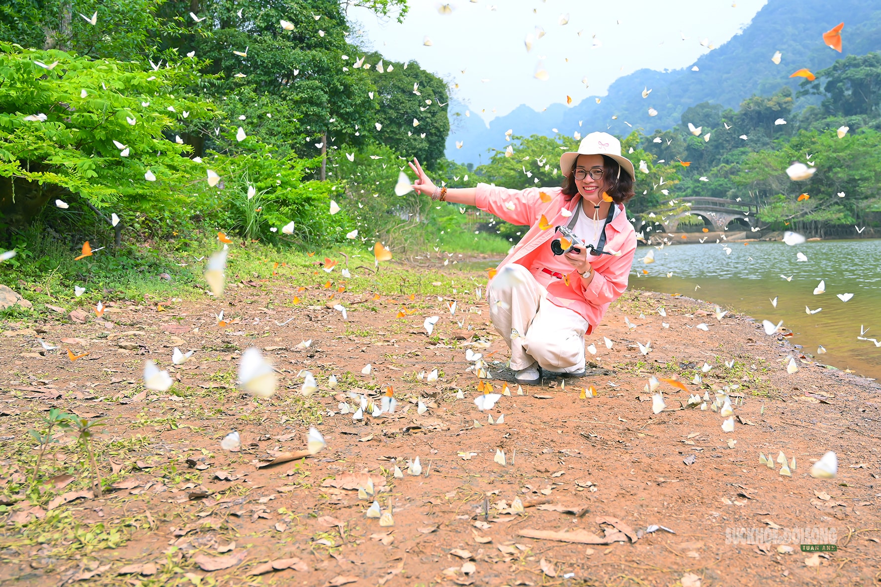 Mùa bướm ở Cúc Phương đến sớm, hút khách tham quan- Ảnh 8.