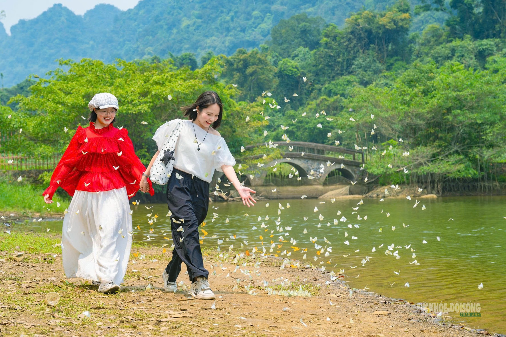 Mùa bướm ở Cúc Phương đến sớm, hút khách tham quan- Ảnh 1.