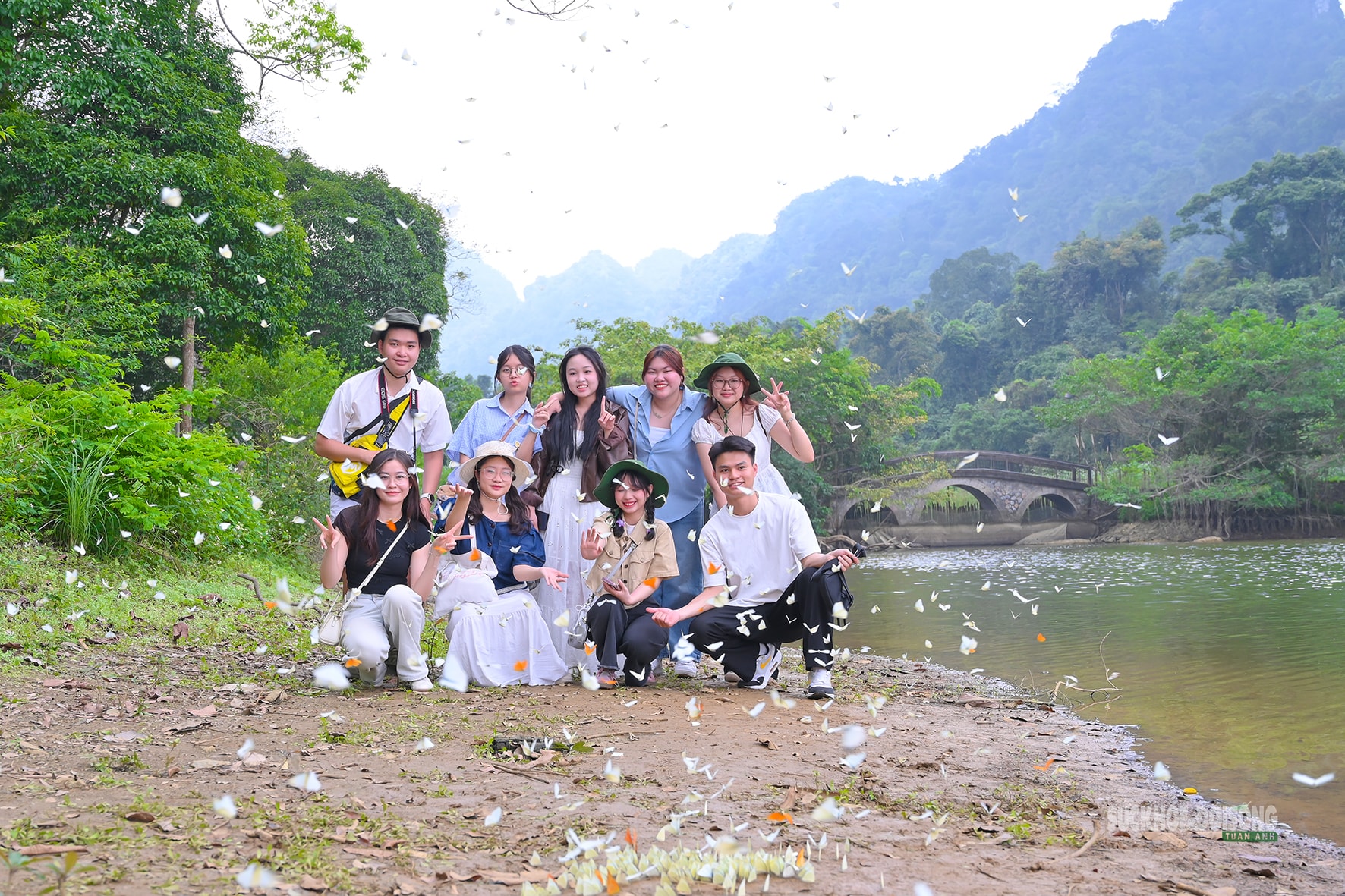 Mùa bướm ở Cúc Phương đến sớm, hút khách tham quan- Ảnh 10.