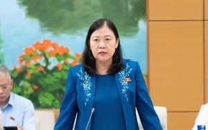 Vụ 300 tấn thịt lợn bệnh tuồn vào trường học, Bộ Y tế chỉ đạo nóng- Ảnh 2.