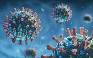 Bệnh nhi 15 tháng tuổi bị xe ô tô cán qua người được bác sĩ cứu sống ngoạn mục- Ảnh 4.