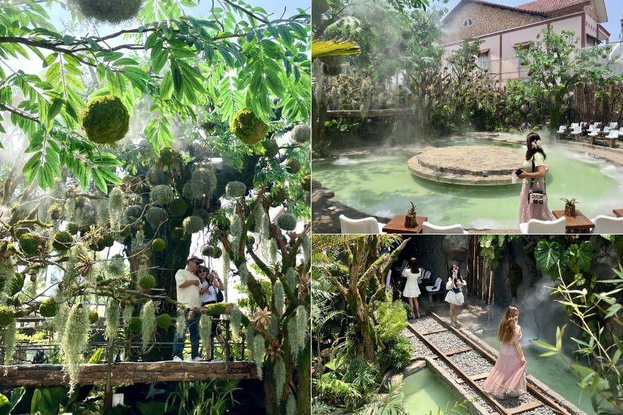 Quán cà phê như một khu rừng thu nhỏ khiến nhiều người thích thú (Ảnh: Báo Thanh niên)