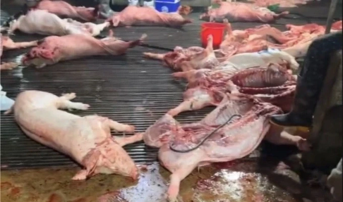 Bên trong lò mổ, nơi bị công an phát hiện. Ảnh: Công an Hà Nội