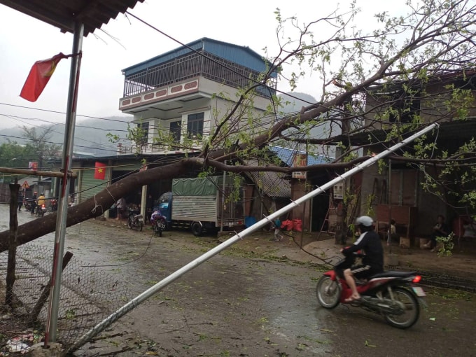Mưa đá, giông lốc Quản Bạ ngày 23/3. Ảnh: Thuỷ Trường