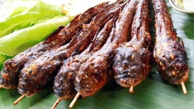 Loại cá biết leo cây, biết chạy nhảy trên cạn, là đặc sản trứ danh miền Tây - Ảnh 7.