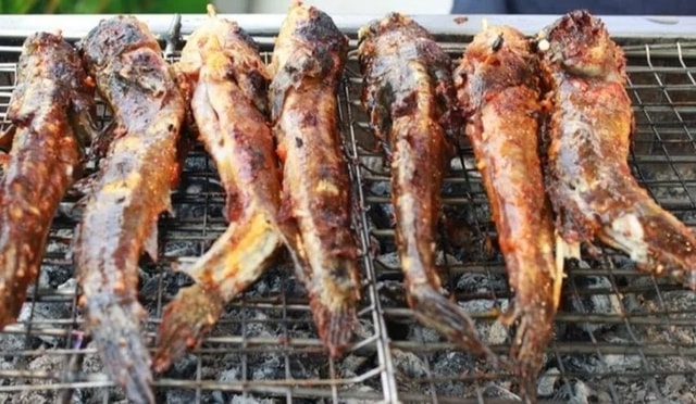 Loại cá biết leo cây, biết chạy nhảy trên cạn, là đặc sản trứ danh miền Tây - Ảnh 6.