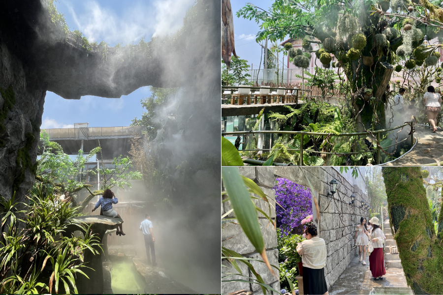 Quán cafe như một khu rừng thu hút nhiều người đến trải nghiệm (Ảnh: Báo Thanh niên)